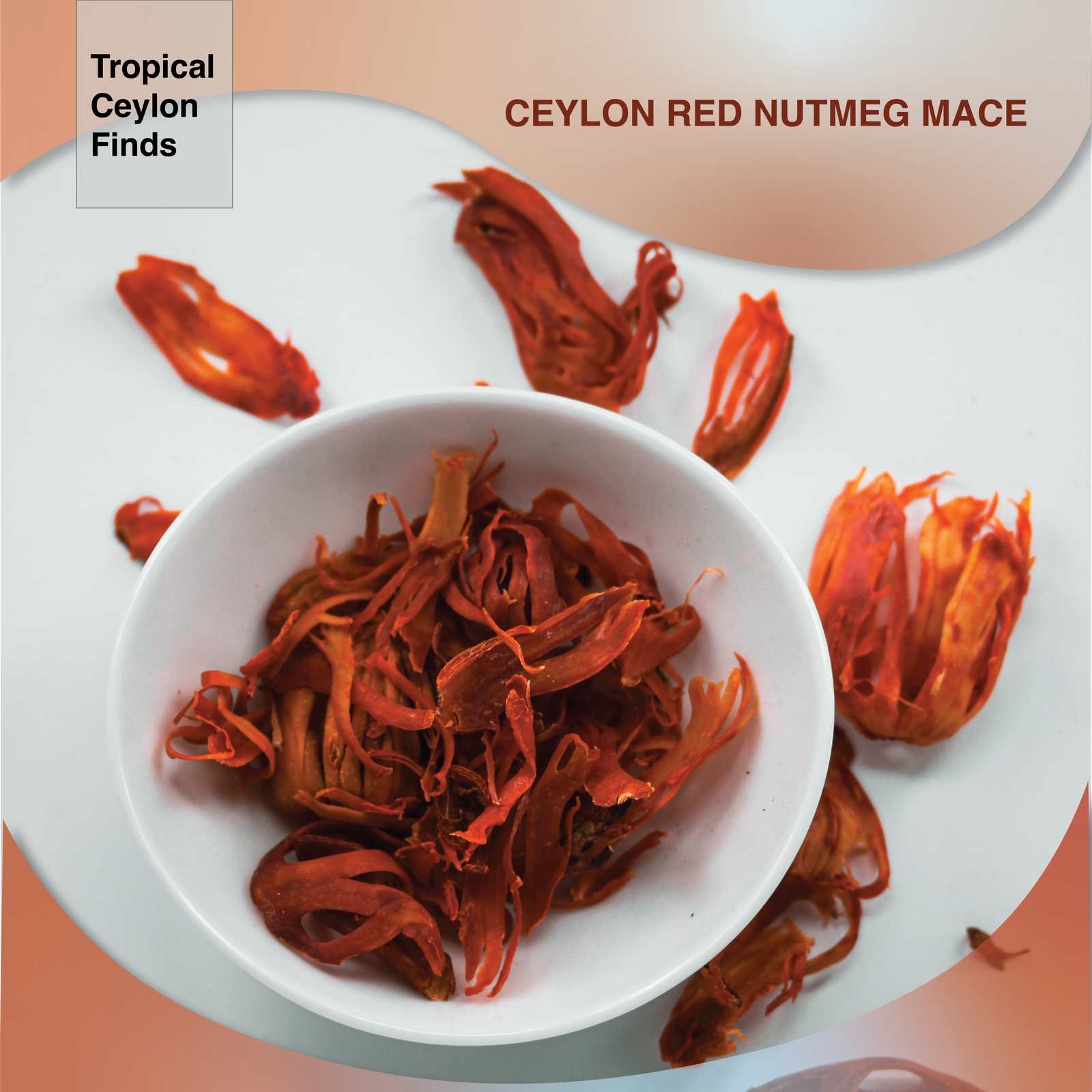 Ceylon Mace Red - Sun Dried